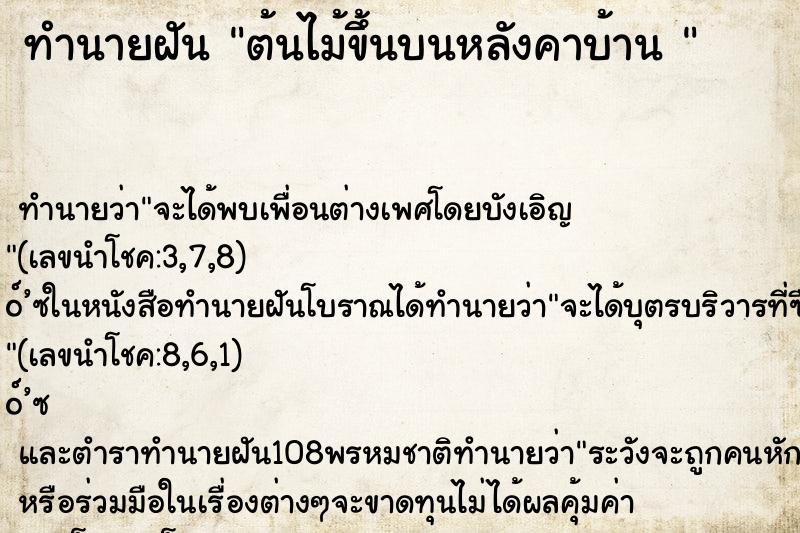 ทำนายฝันทำนายฝันต้นไม้ขึ้นบนหลังคาบ้าน